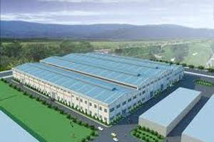 Ngày 22/11, IDV tạm ứng cổ tức 12%